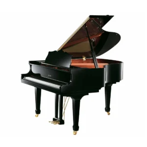 Ritmüller R9-D118 Polished Ebony